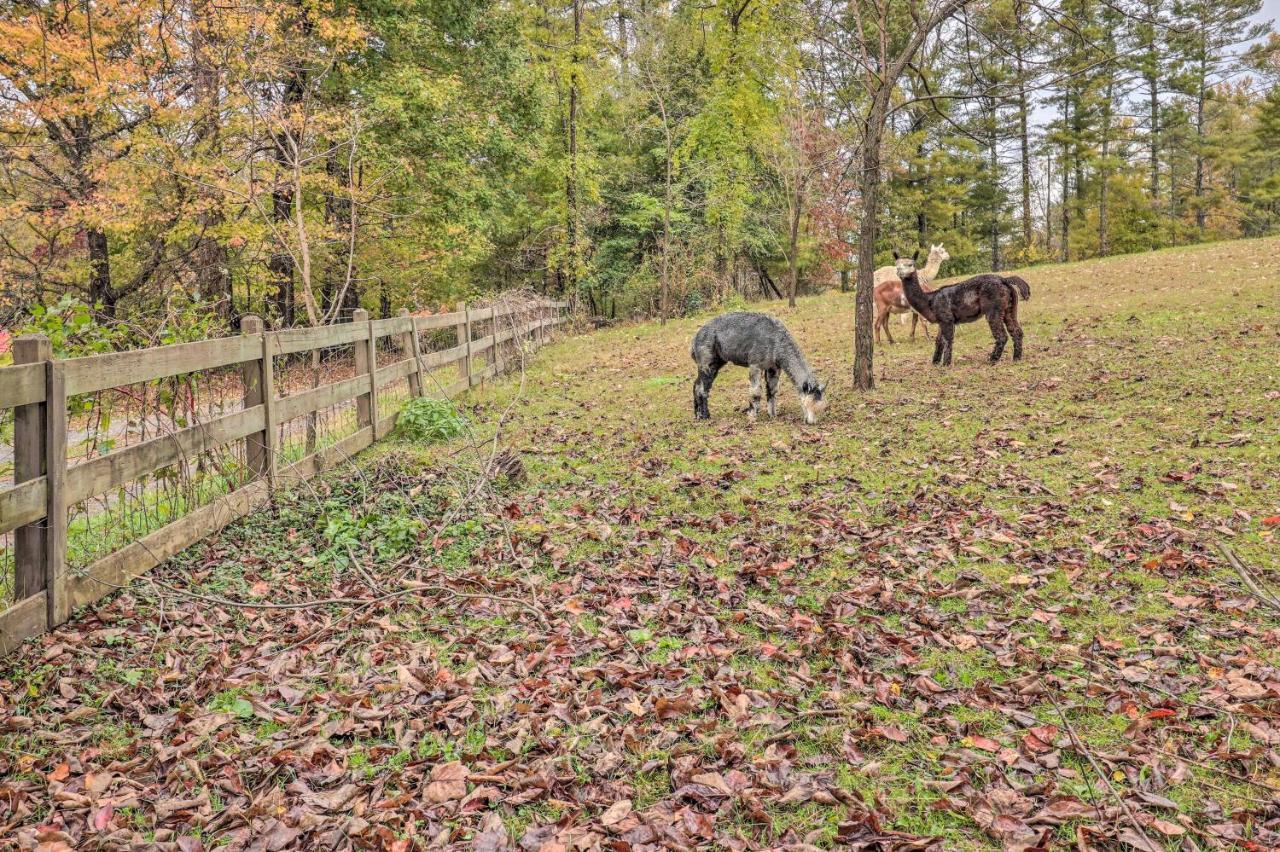 Rustic Hendersonville Farm Studio With Private Deck מראה חיצוני תמונה
