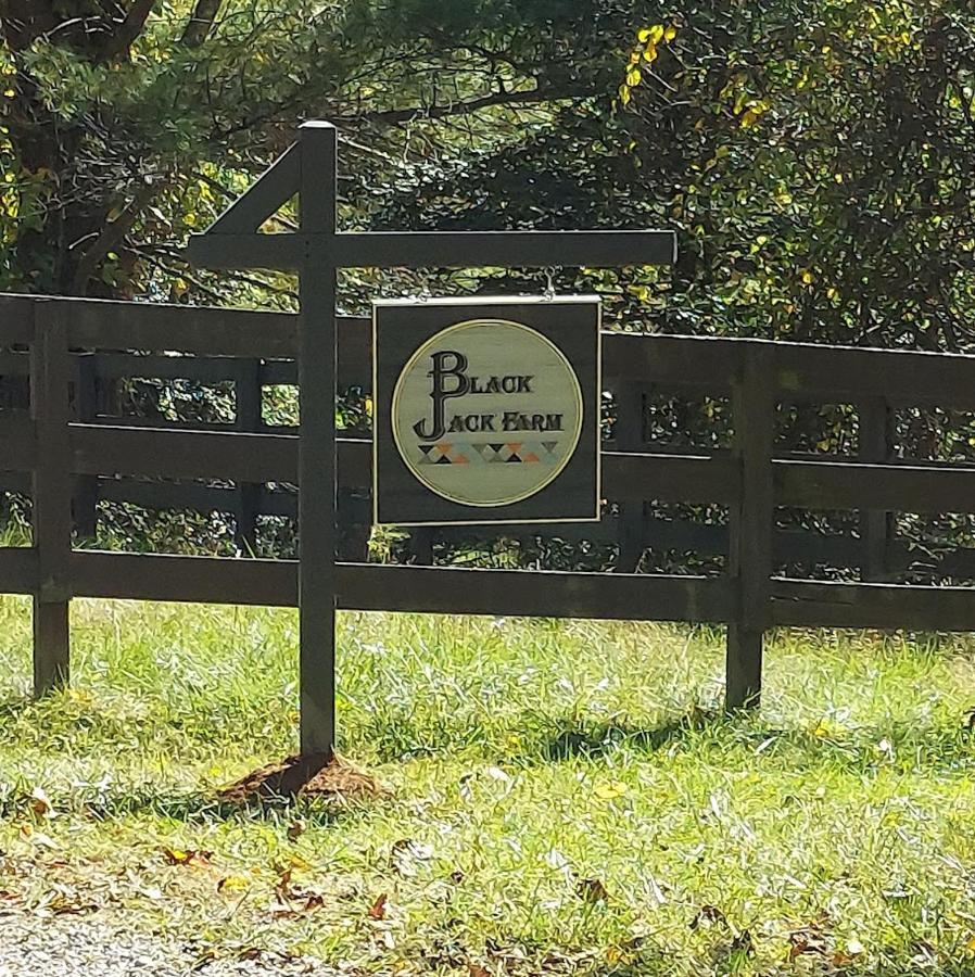 Rustic Hendersonville Farm Studio With Private Deck מראה חיצוני תמונה