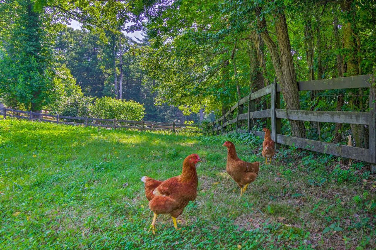 Rustic Hendersonville Farm Studio With Private Deck מראה חיצוני תמונה