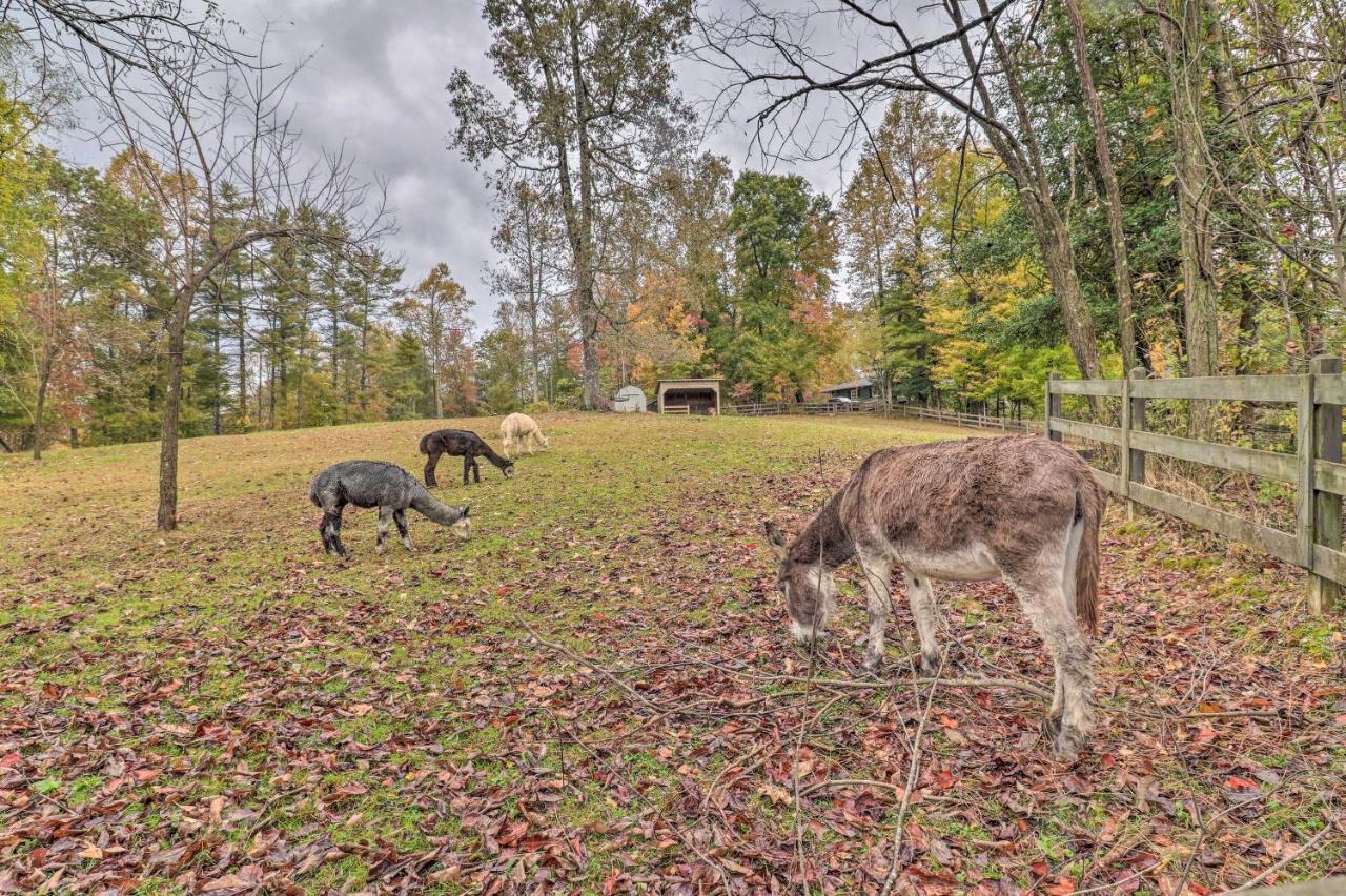 Rustic Hendersonville Farm Studio With Private Deck מראה חיצוני תמונה