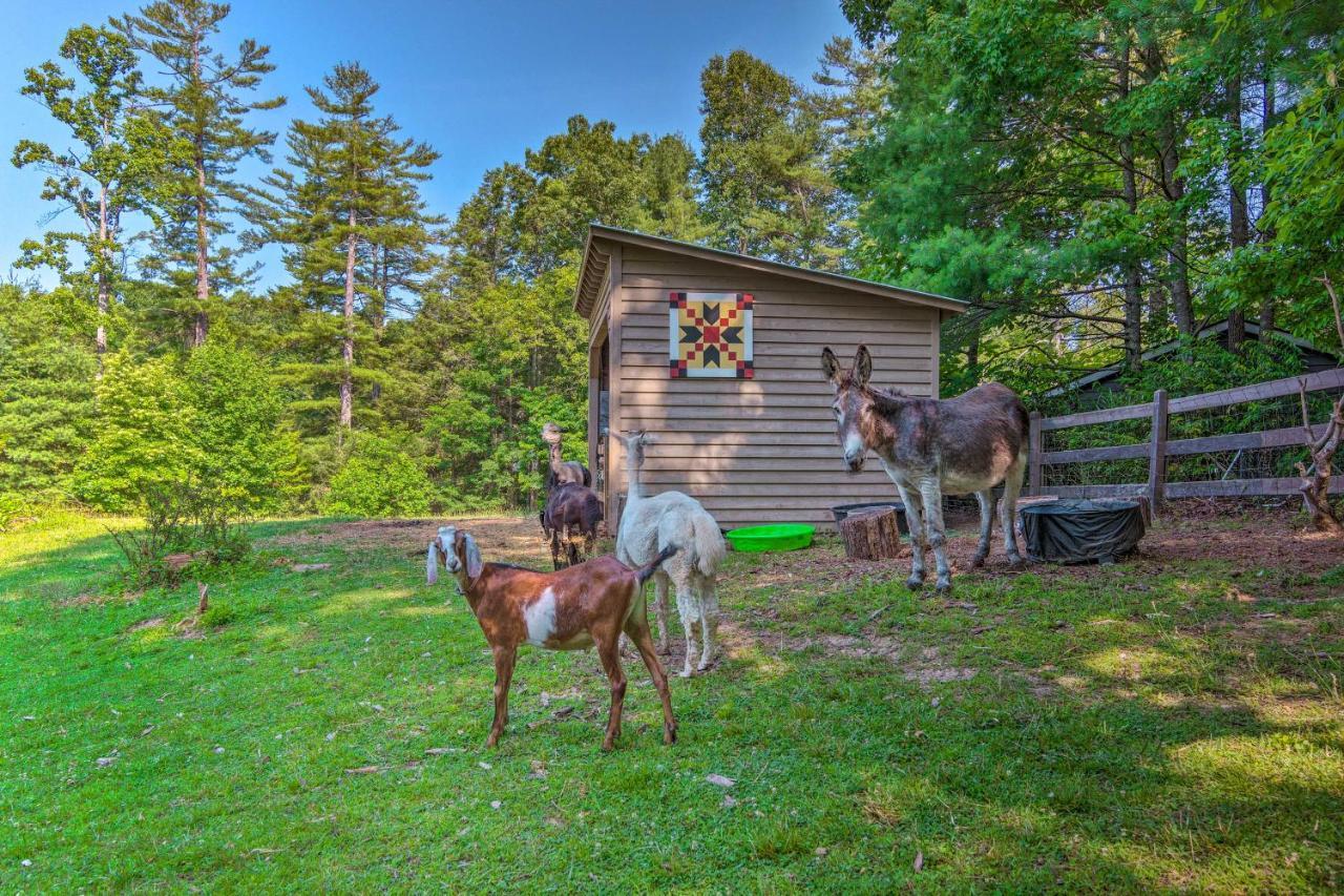 Rustic Hendersonville Farm Studio With Private Deck מראה חיצוני תמונה